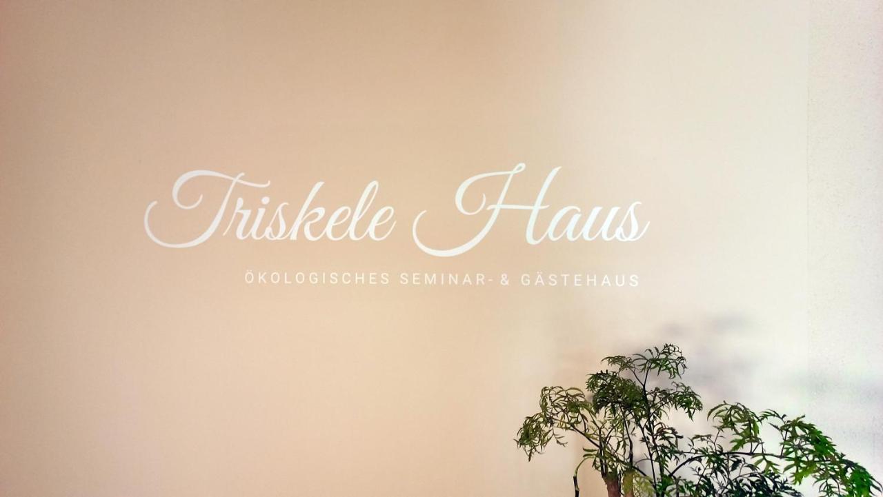Triskele Haus - Oekologisches Gaestehaus Der Heilstaette Strelitz Neustrelitz Exterior foto